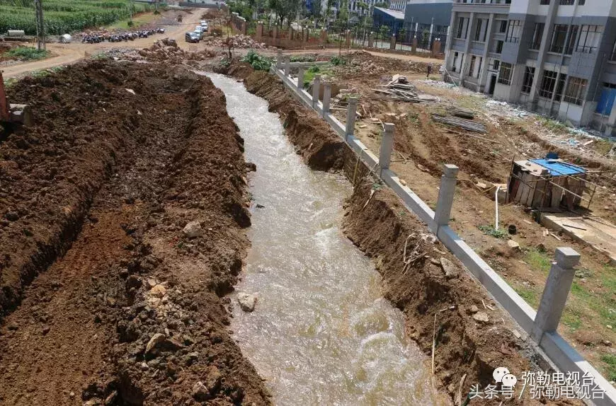 “四中学生打死人了！”弥勒疯传！真的吗？