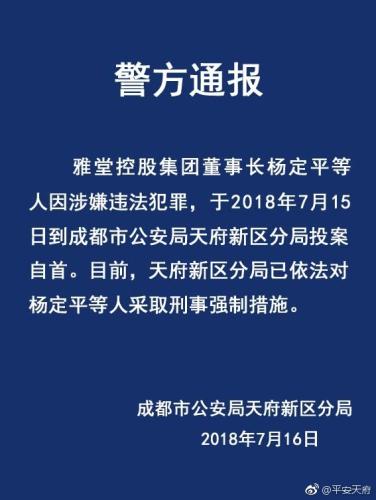 成都警方：雅堂控股集团董事长杨定平已投案自首