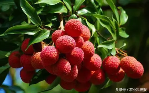 汕尾荷包岭汽车站时刻表：珍惜丰收，安全出行