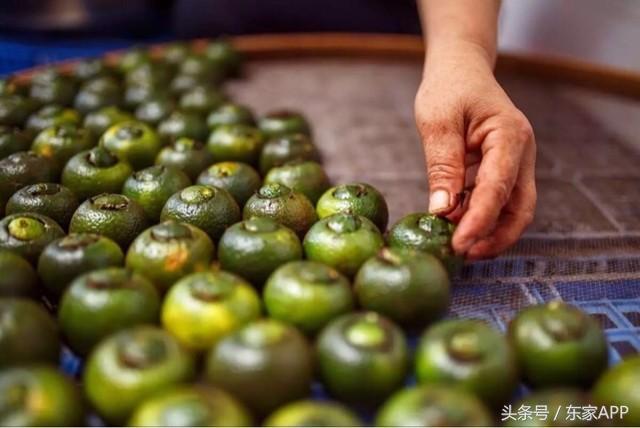 小青柑是什么茶（茶界网红小青柑入门知识在这里）