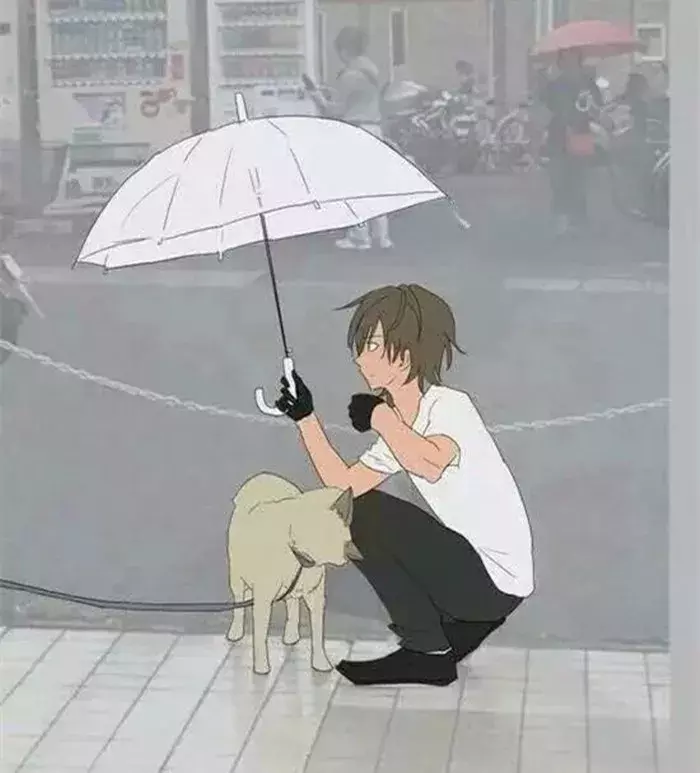 日本网友见到雨中的柴犬，主动上前撑伞挡雨，路人做成感人漫画