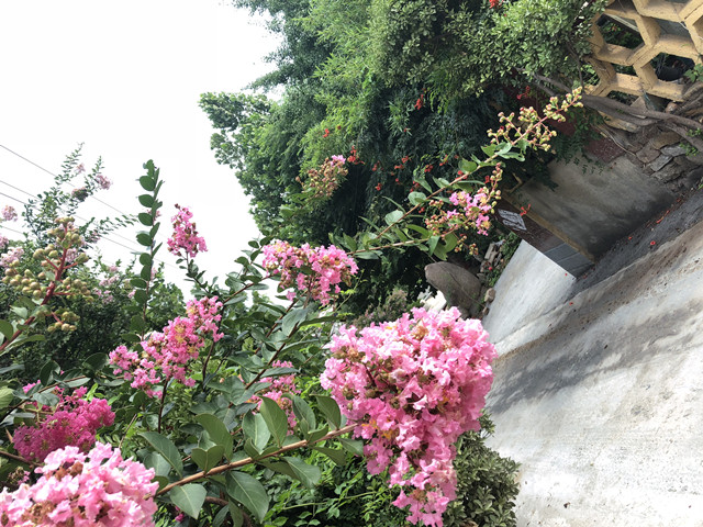 山东女子学院科技支农实践队——精准扶贫，服务乡村