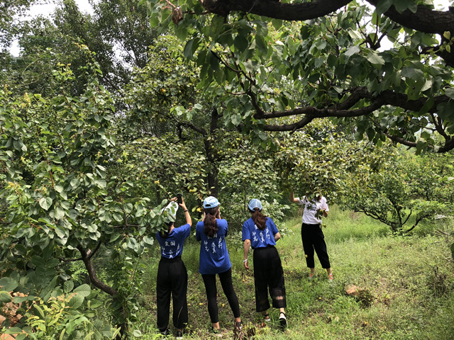 山东女子学院科技支农实践队——精准扶贫，服务乡村