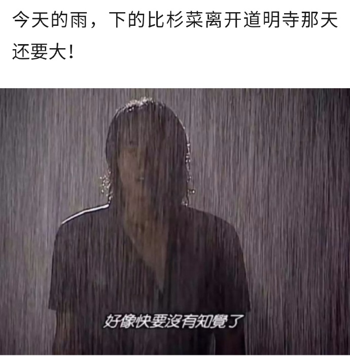 今天的雨，下的跟依萍她爸要钱那天一样大「下雨表情包」