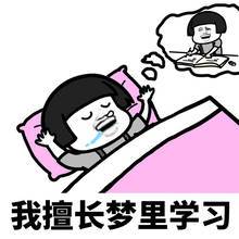 有的人擅长撩妹，我擅长撩起被子盖好睡觉「表情包」