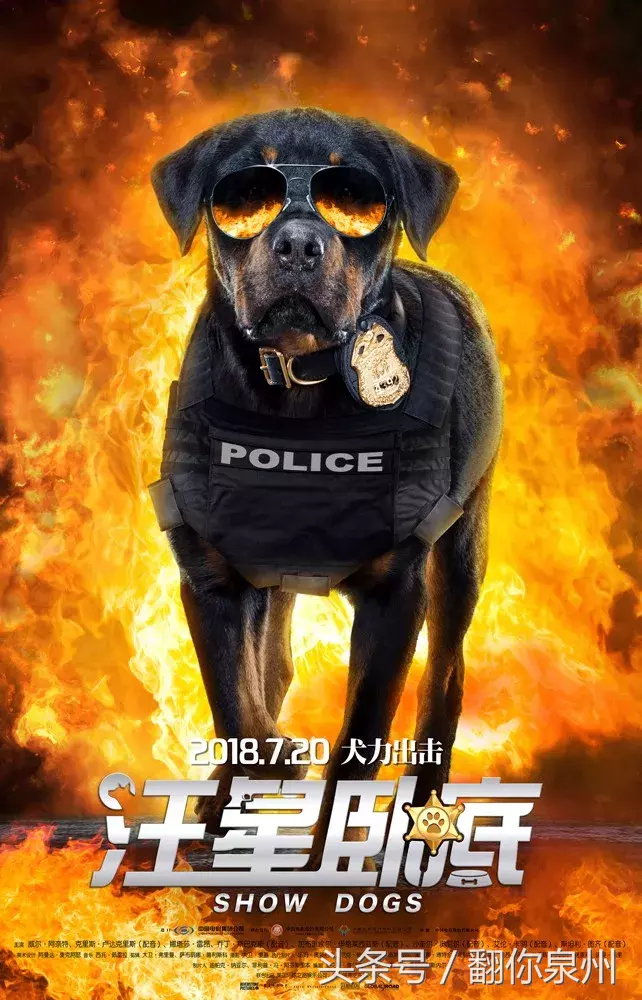 老少通吃!消暑全家欢《汪星卧底》全阵容海报萌犬集结