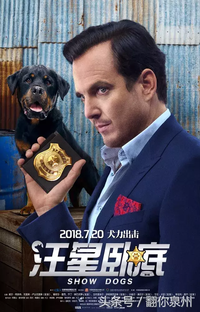 老少通吃!消暑全家欢《汪星卧底》全阵容海报萌犬集结
