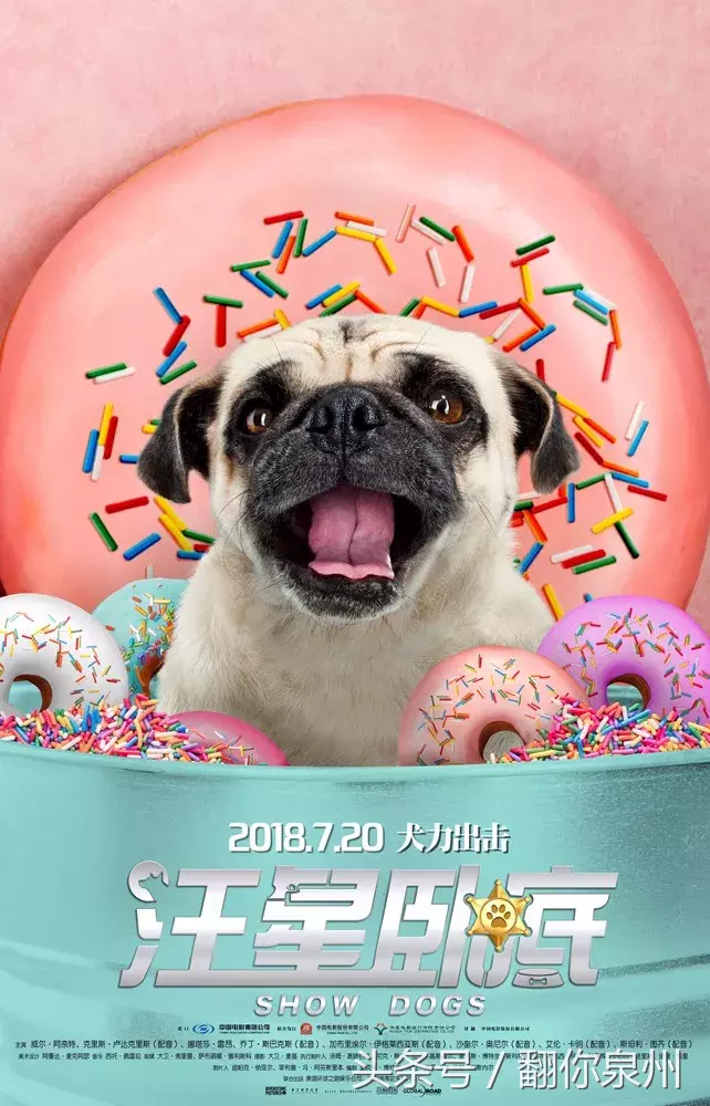 老少通吃!消暑全家欢《汪星卧底》全阵容海报萌犬集结