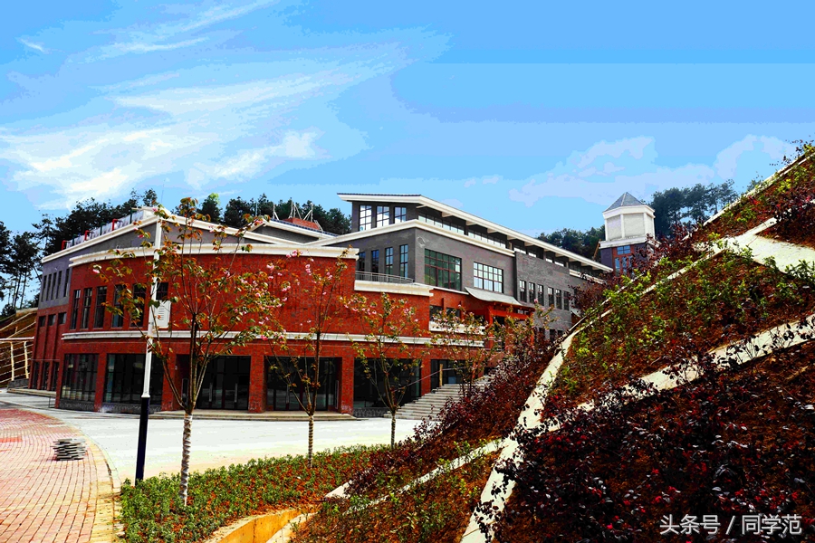 茅台不止酿酒，还办了一所二本高校，其他酒厂就等着这些学生毕业