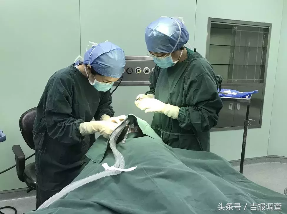 住院-手术-出院48小时内完成!长春市儿童医院首例日间手术做到了