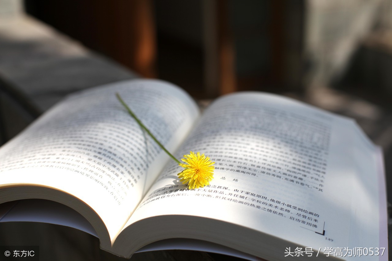 书香润心，智慧启航：经典阅读的力量与启迪