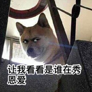 单身狗保护协会会员