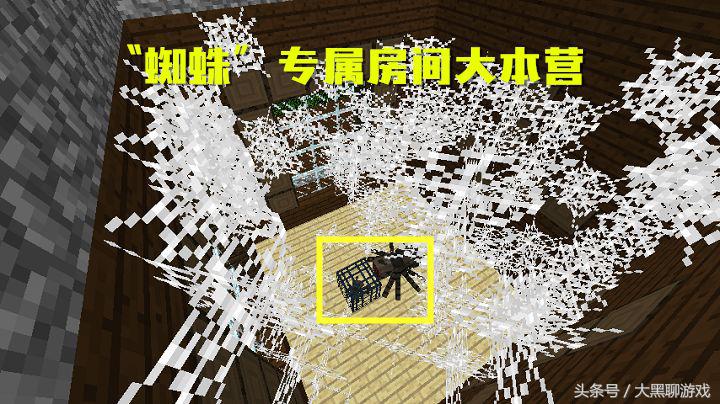 我的世界：蜘蛛网自然生成在五个地方，见最后一个要欧洲人附体！