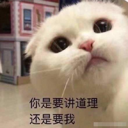 猫咪带字表情包：长得可爱就是麻烦