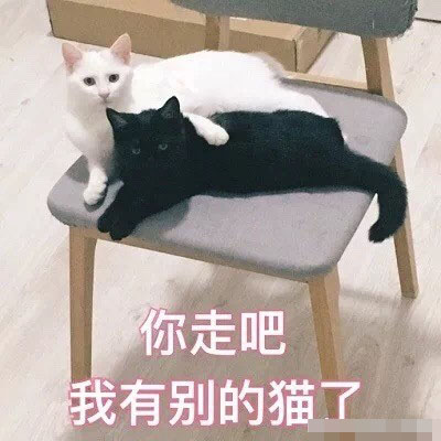 猫咪带字表情包：长得可爱就是麻烦