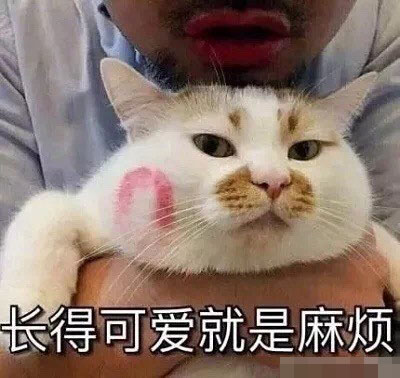 猫咪带字表情包：长得可爱就是麻烦