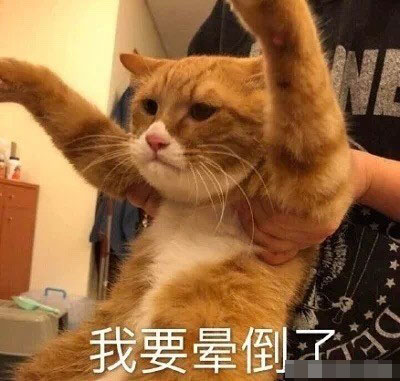 猫咪带字表情包：长得可爱就是麻烦