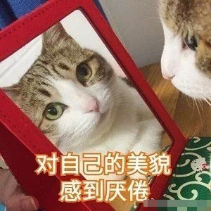 猫咪带字表情包：长得可爱就是麻烦