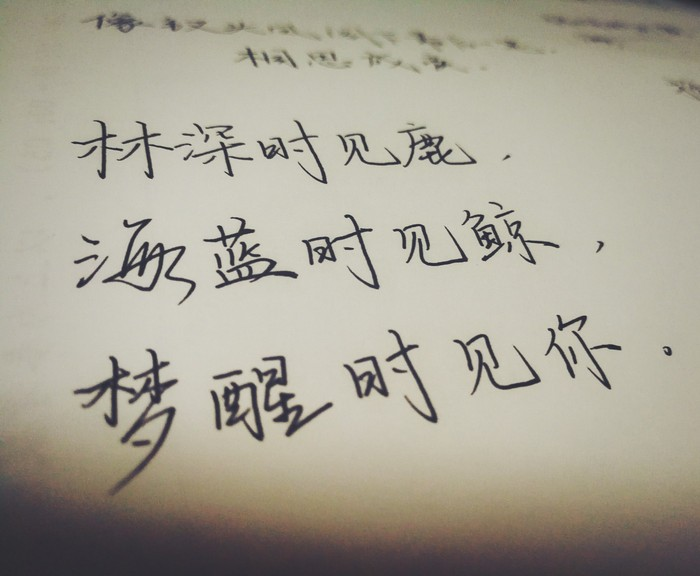 因为你在风里，所以每一个有风的日暮晨曦，都有我的欢喜