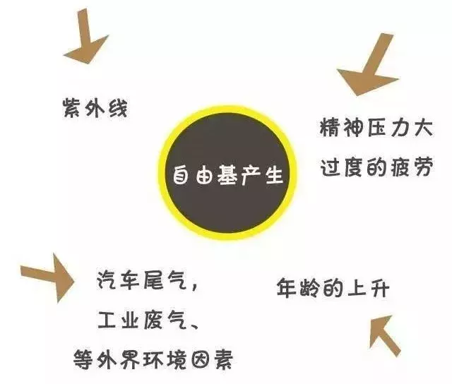 普洱茶的金钟罩铁布衫之四大法宝