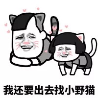 下辈子我只想做一只猫