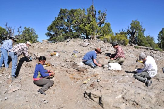 美国犹他州发现新甲龙类恐龙(美国犹他州新发现甲龙化石，揭示了装甲恐龙的更多细节)