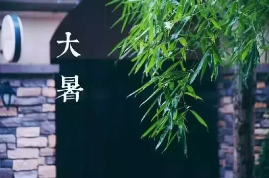 大暑｜饮茶，清热消暑