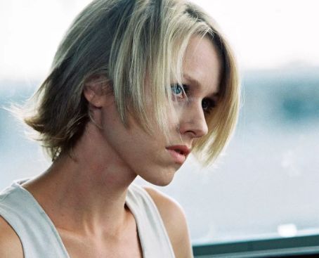 电影秘窗剧情好看吗 _晶羽科技