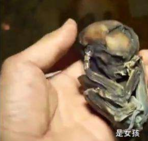 袁立微博再爆猛料，女星为出名养古曼童涂尸油，网友纷纷被吓