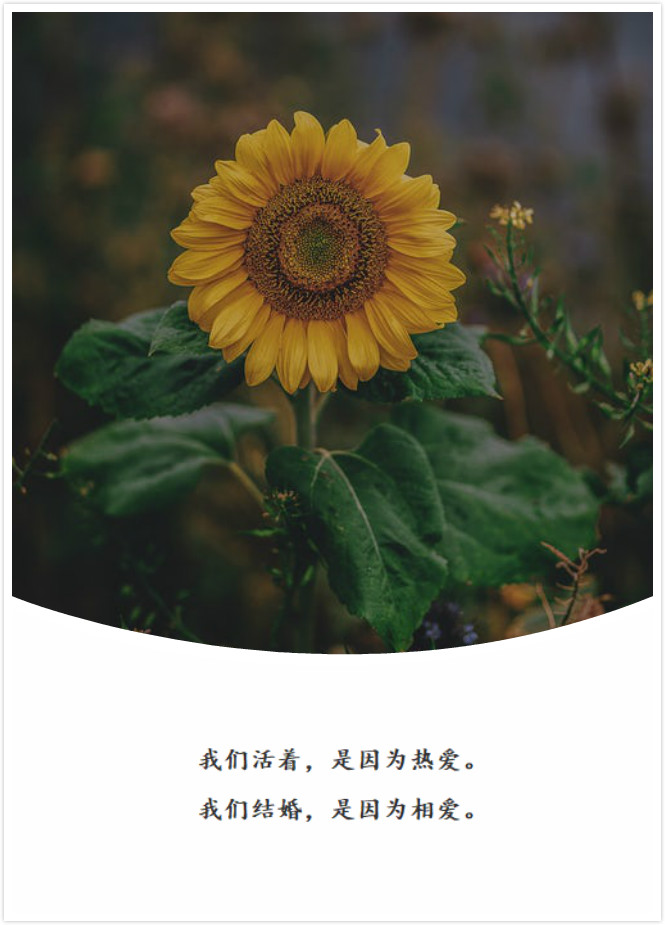 “你失过恋吗？这里有十句治愈你心灵的句子，一定不要错过”