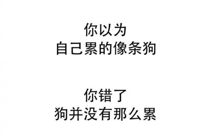 你以为的，仅仅是你以为