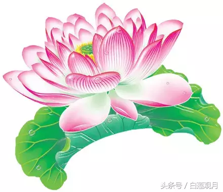 早上好，送你一片莲花，愿你清凉一夏，好运吉祥，安全过伏天