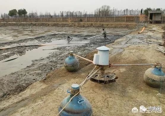小龙虾怎么养在家里（在自家养殖小龙虾的注意事项）