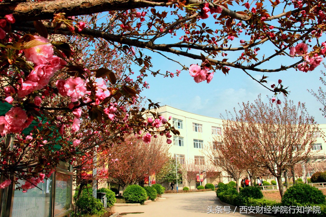 “浐灞之畔、白鹭之巅”｜2018西安财经学院行知学院欢迎你的加入！