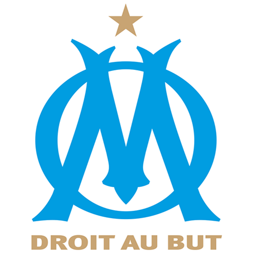 里尔队徽(新赛季法甲球队队徽:里尔,图卢兹新面孔,维京战士霸气威武!