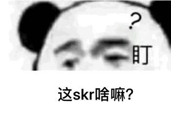 今天你skr了吗