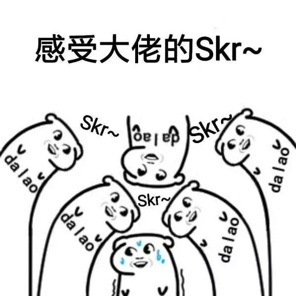 今天你skr了吗