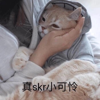 今天你skr了吗