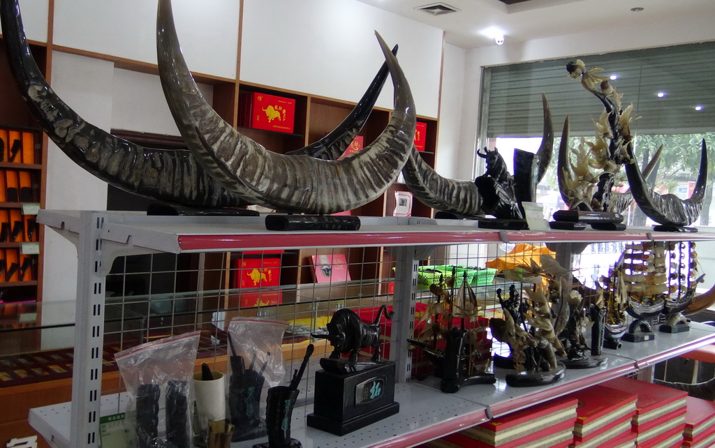 每天一村7：广西牛角工艺品村南宁宾阳理化村，小牛角撑出好富路