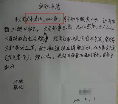 辞职信表情包大全:我要像梦一样自由,回家养猪