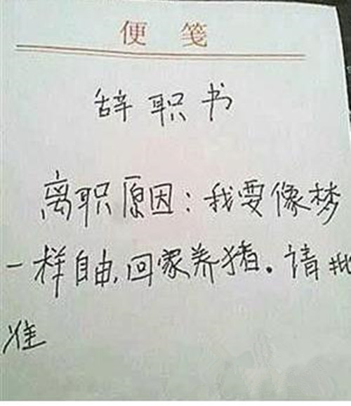 辞职信表情包大全:我要像梦一样自由,回家养猪