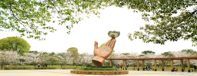 华东理工大学&东华理工大学，傻傻分不清？其实差别很大