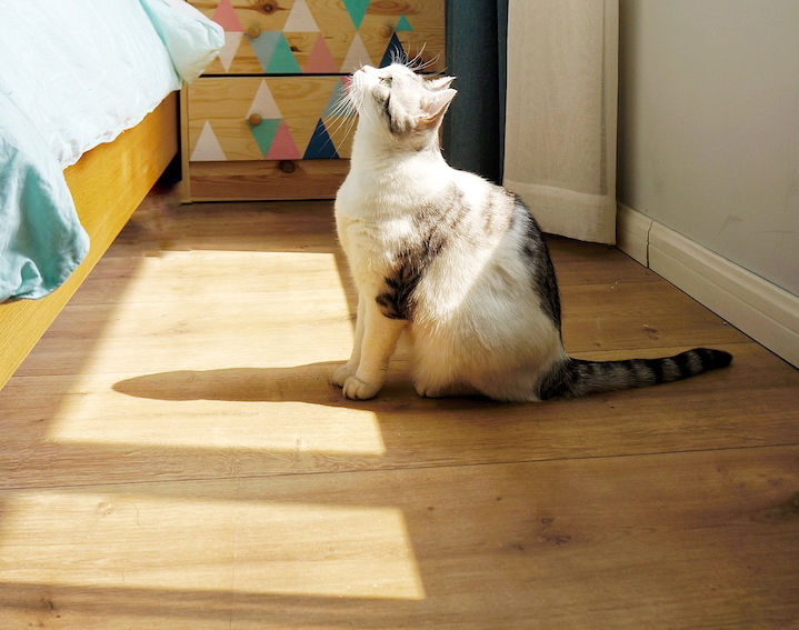 地板攻略！怎么选怎么装，面面俱到一篇概括！新家地板，有它完胜