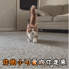 这些图，聊天的时候一定用的上