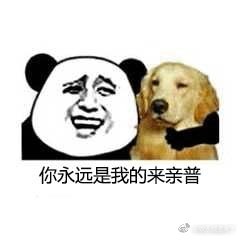 来亲普表情包大全:想啥呢,我们就是来亲普,借钱不可能