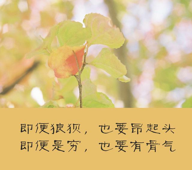 当你穷困落魄，被人看不起的时候，牢记4句话！