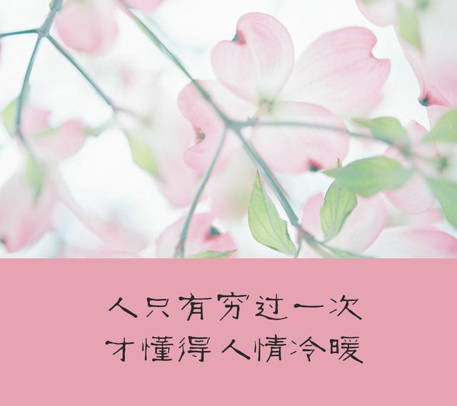 当你穷困落魄，被人看不起的时候，牢记4句话！
