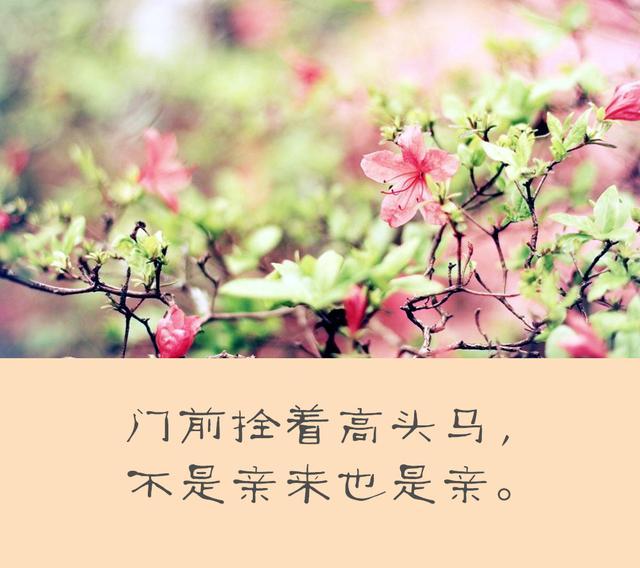 当你穷困落魄，被人看不起的时候，牢记4句话！