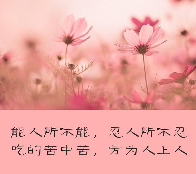 当你穷困落魄，被人看不起的时候，牢记4句话！