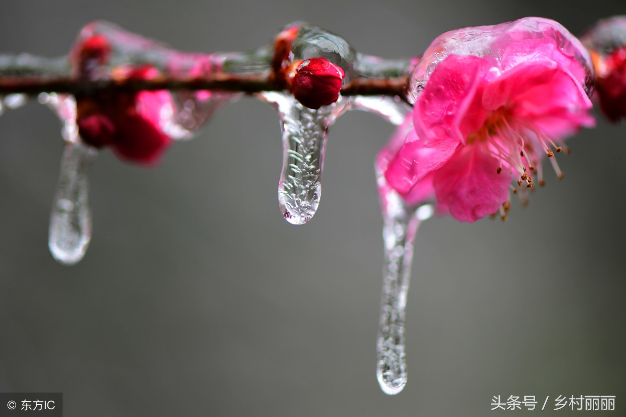 袁富民《乾县俗语盘点》（下），越读越有趣